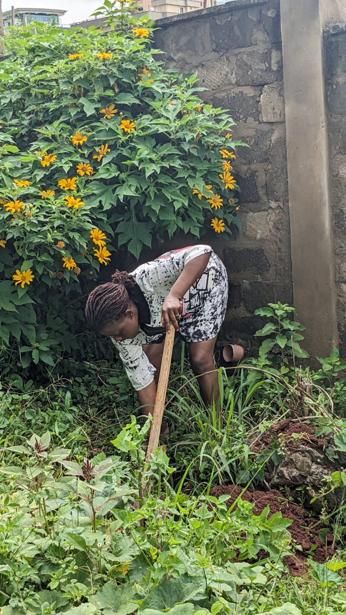 Today, staff at the National Quality Control Laboratory came together for the tree planting day exercise.

🌳🌿 Let's work together to make our environment greener and healthier for future generations! #NationalTreePlantingDay #JazaMitiNaGava