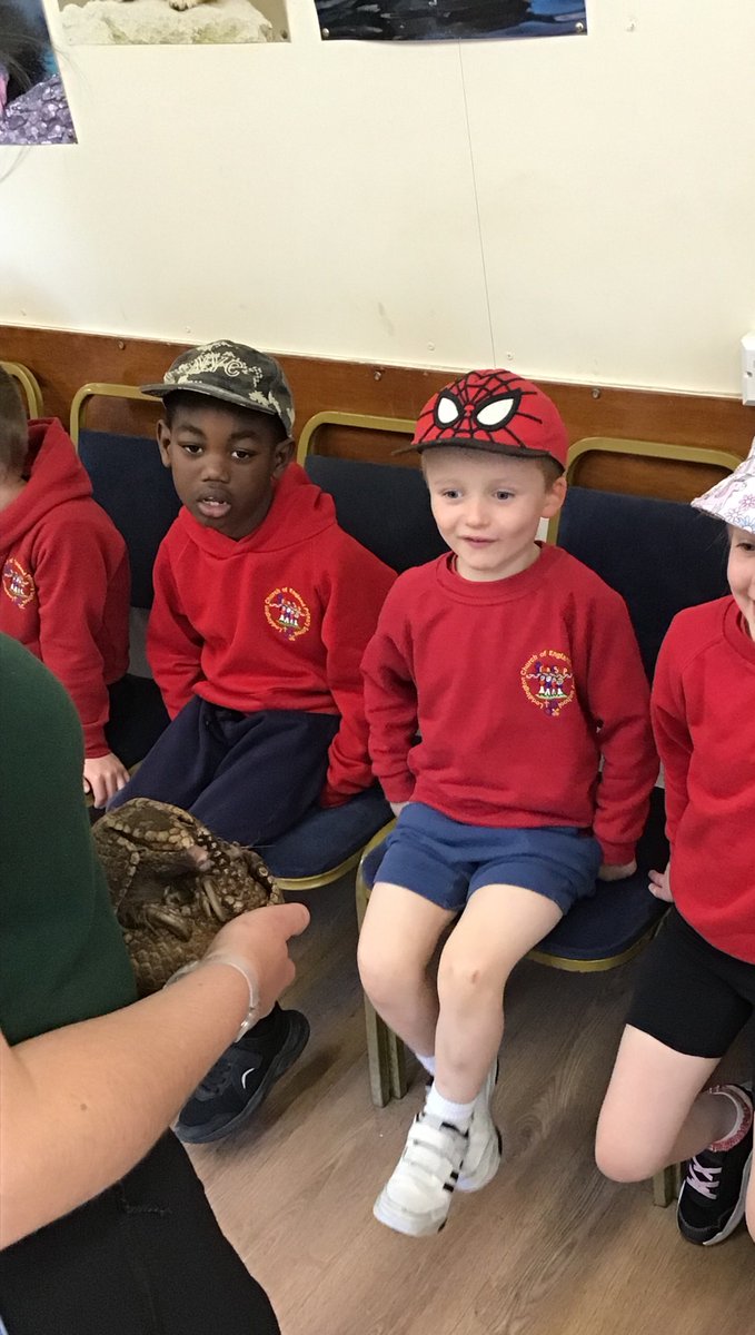 LoddingtonCEPri's tweet photo. R/1 had a wonderful, sunny day at Hamerton Zoo yesterday. The children enjoyed seeing lots of animals and discussing what animal groups they belong to. They also enjoyed getting up close and personal to a few animals in the variety of life workshop. What a great day we all had! https://t.co/mmNOMppApj