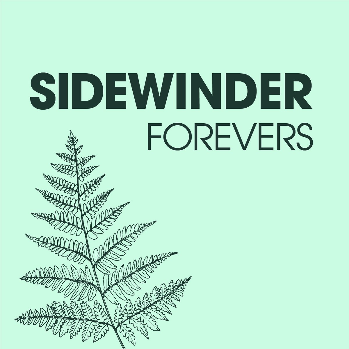 DNBaumgartner's tweet photo. New Forevers song about grammar and ladders.

https://t.co/P5QQRBJnZB https://t.co/uhRdwe4HIZ