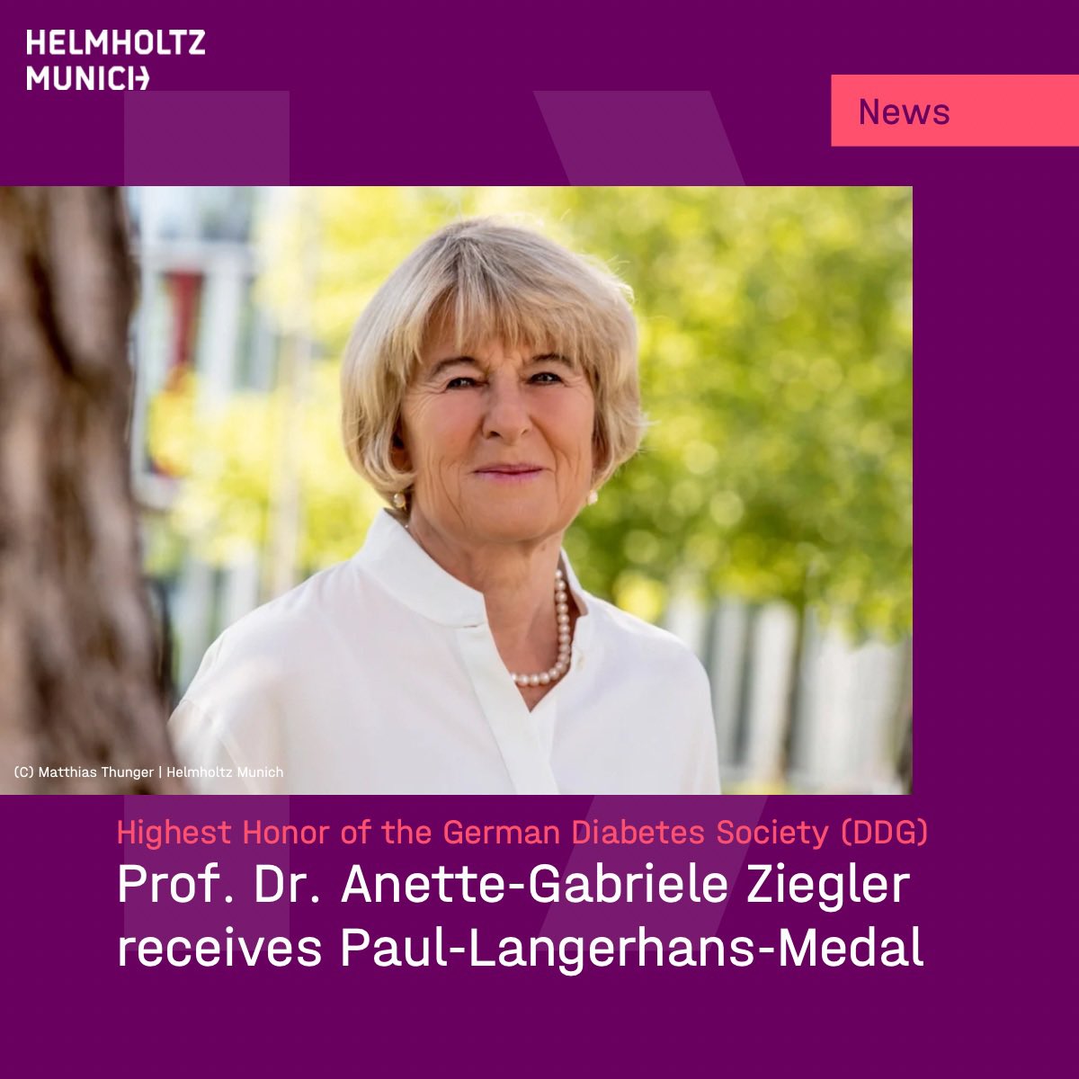 For her relentless efforts in early-detection and prevention of #Type1Diabetes, Helmholtz Munich researcher Anette-Gabriele Ziegler receives the Paul-Langerhans-Medal, highest honor of the @DDG_Tweets. Congratulations!

👉 Read more in the press release: t1p.de/6bmem