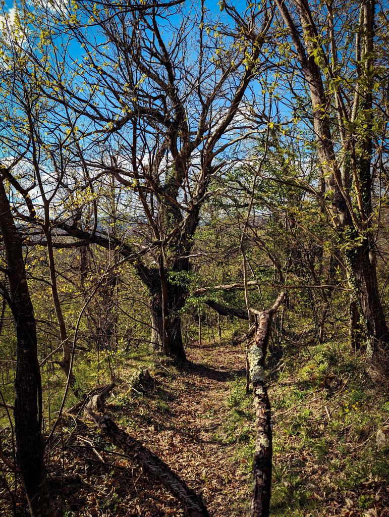 Take a course in good water and air; and in the eternal youth of Nature you may renew your own. Go quietly, alone; no harm will befall you. - John Muir - #FootpathFriday