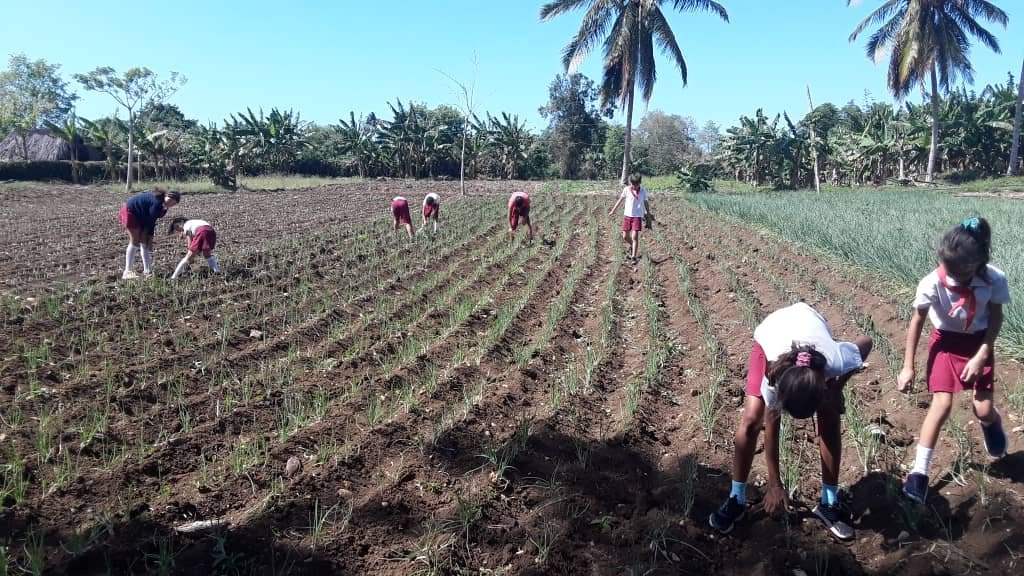 Los alumnos de 5to grado de la Institución Educativa EP Argentina de #PuertoPadre participan activamente en la formación laboral a través de los convenios realizados.
#EducaciónPuertoPadre