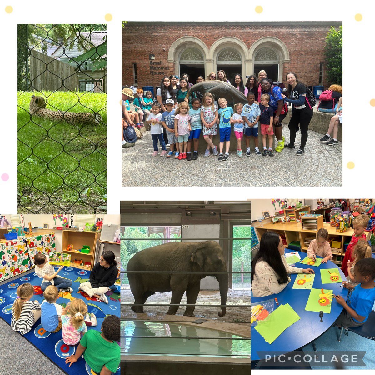 APS-ACC Early Child (@apsaccece) on Twitter photo The sun was shining the sky was blue, the perfect day for the zoo! Our ECE students and pre-schoolers enjoying a day of fun.<a href="/Margaretchungcc/">Margaret Chung</a> <a href="/APS_CTE/">Arlington CTE</a> <a href="/APSCareerCenter/">Arlington Career Center</a> <a href="/CharlesRandolp3/">Charles Randolph</a> <a href="/rbowermanteach/">Rachel Bowerman</a> The sun was shining the sky was blue, the perfect day for the zoo! Our ECE students and pre-schoolers enjoying a day of fun.<a href="/Margaretchungcc/">Margaret Chung</a> <a href="/APS_CTE/">Arlington CTE</a> <a href="/APSCareerCenter/">Arlington Career Center</a> <a href="/CharlesRandolp3/">Charles Randolph</a> <a href="/rbowermanteach/">Rachel Bowerman</a>