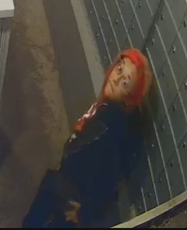 This individual burglarized several mailboxes at an apartment complex near NW 122nd/MacArthur. Her hair is pink and blonde striped and she was wearing glasses. If you recognize her, contact Crime Stoppers 405.235.7300/www.okccrimetips.com. Cash reward possible! Case # 24-31715