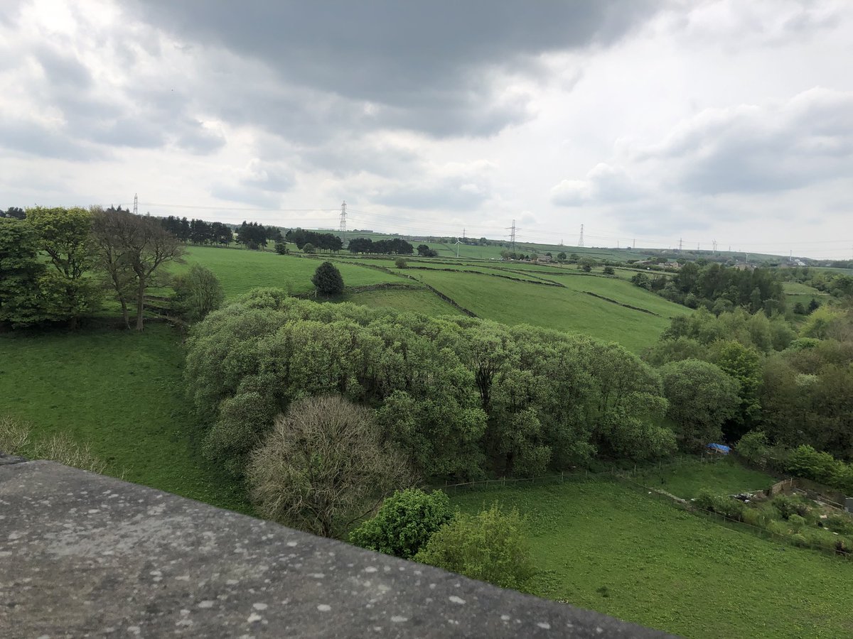 DebbieNeale's tweet image. Charlotte and I have walked along the great Thornton Viaduct at lunchtime, practicing for #MentalHealthWeek  What a treat! #walkandtalk  @FocusTrust1 There will be a few more of us next week!