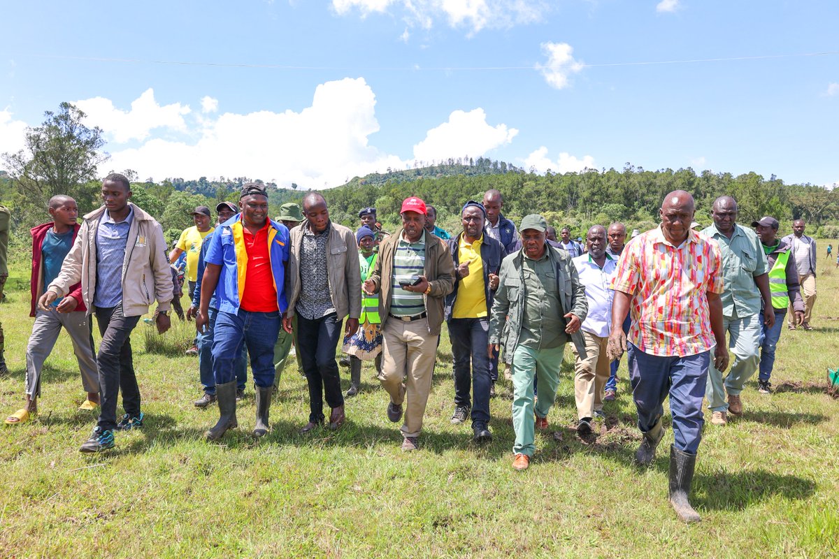 In honor of flood victims and observance of the 2nd National Tree Growing Day, alongside Kericho County leaders and Ministry of Agriculture officials we joined residents of Londiani Sub County in planting tree planting exercise. @NCPB_KE @kalromkulima @Agri_FinanceKe @NCPB_KE