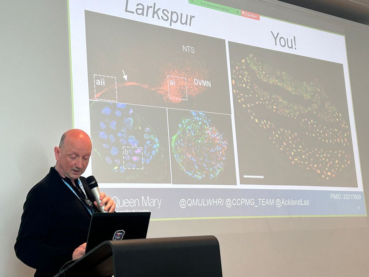 CCPMG (@ccpmg_team) on Twitter photo From laboratory🔬to clinical trials 🗂️ Prof Ackland discussing the relationship between exercise tolerance and the activity of vagal motoneurons in the brainstem 🧠 Connecting it all to the ongoing <a href="/FunnyRct/">FunnyRCT</a> 😁
<a href="/AcklandLab/">AcklandLab</a> <a href="/QMULWHRI/">William Harvey Research Institute</a> From laboratory🔬to clinical trials 🗂️ Prof Ackland discussing the relationship between exercise tolerance and the activity of vagal motoneurons in the brainstem 🧠 Connecting it all to the ongoing <a href="/FunnyRct/">FunnyRCT</a> 😁
<a href="/AcklandLab/">AcklandLab</a> <a href="/QMULWHRI/">William Harvey Research Institute</a>