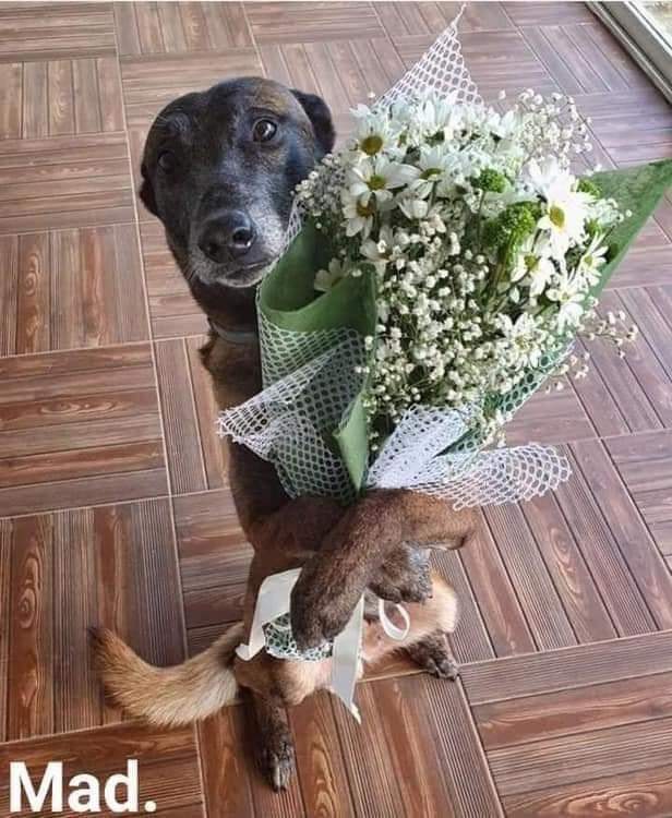 GRamirezF_D12's tweet photo. Te amo mamita, gracias por sacarme de las calles 🥺❤️ https://t.co/xizEptBegB