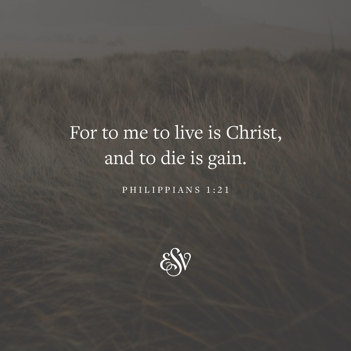 For to me to live is Christ, and to die is gain. 
—Philippians 1:21 ESV 

#Verseoftheday #ESV #Scripturememoryverse #Bible