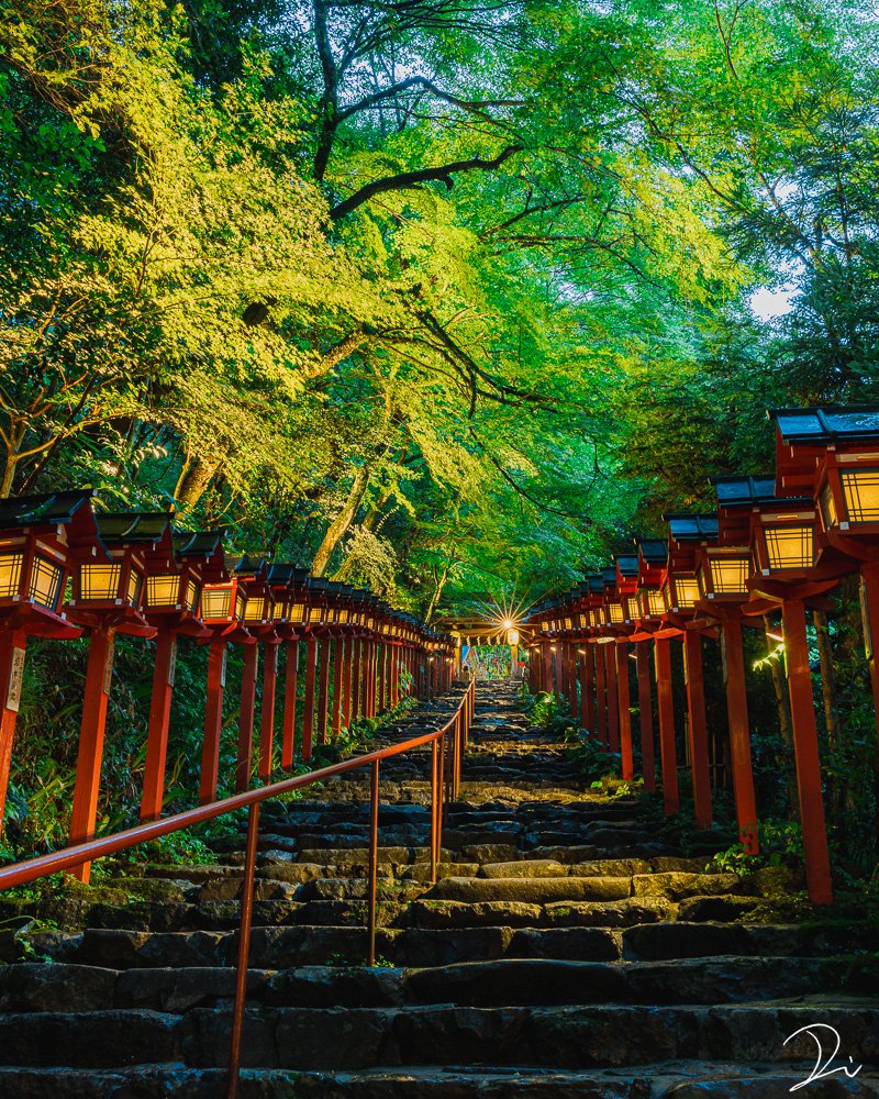 深緑の貴船神社

#京都よきかな