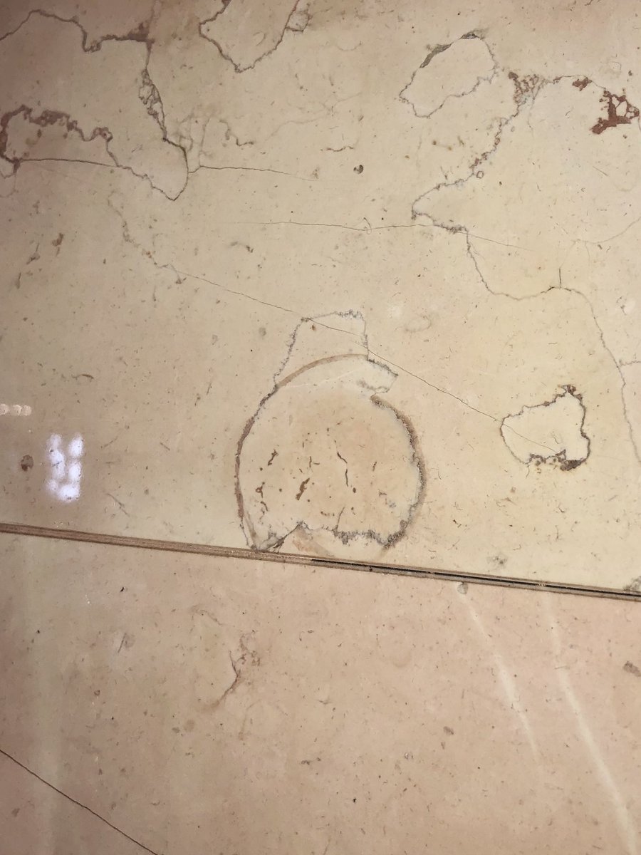 イタリア産大理石ペルリーノロザートで時々見つかる、灰色〜赤褐色の縁に囲まれた丸い模様。ウニの化石じゃないかと思う。
#街の中で見つかるすごい石
#UrbanGeology
#金曜日だから化石貼る
#FossilFriday