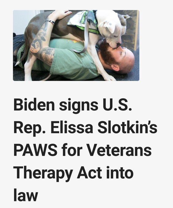 Puppies, Red v Blue A Republican defends dragging her puppy to the gravel pit to shoot it to death. A Democrat connects service dogs with veterans with her PAWS Act, Puppies Assisting Wounded Servicemembers. Re-elect @RepSlotkin🐾🪖💗 #Allied4Dems #DemsUnited #ProudBlue