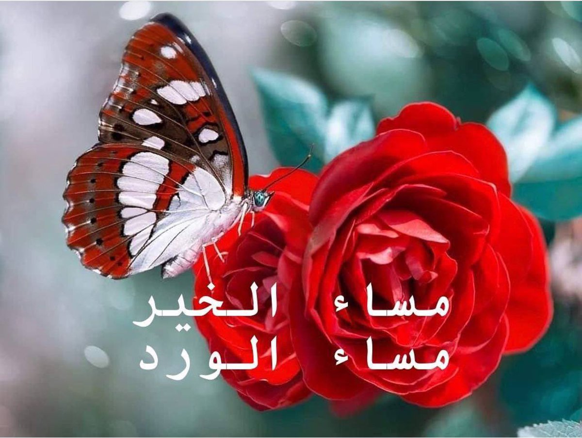 🌹اسسسسسماء🌹 (@Battr94147940) on Twitter photo 2024-05-10 13:47:47