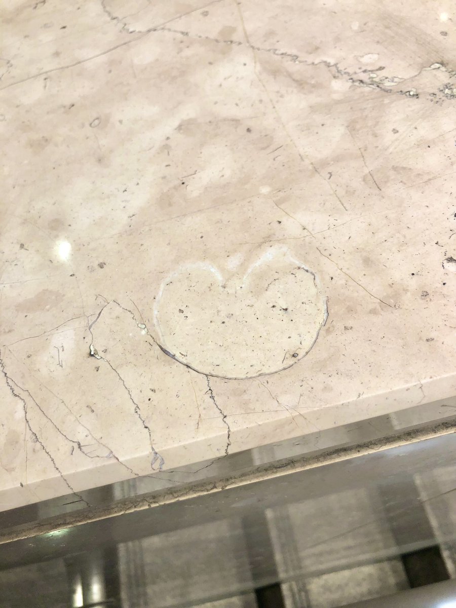 先日、光が丘IMAで縦向きにスライスしたウニと思われる化石を見つけた。けどちょっと形が出来過ぎかなとも思ってる。
#街の中で見つかるすごい石
#UrbanGeology