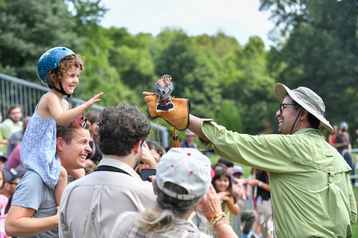 Meet your furry and feathered wildlife neighbors at the annual Urban Wildlife Festival! Learn all about NYC’s cutest residents both big and small with the Urban Park Rangers tomorrow, 5/11, at this free, family friendly event: on.nyc.gov/4dvBQrc