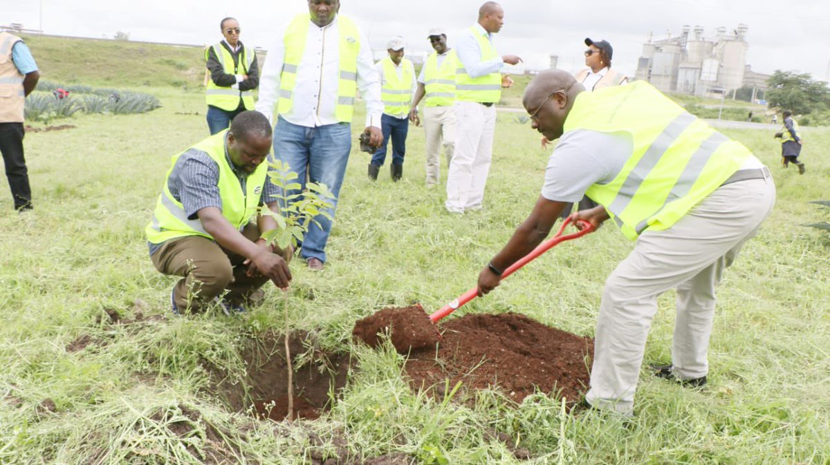 The Kenya National Highways Authority Board Chairman Ms. Winfrida Ngumi, and the Director General, Eng. Kungu Ndungu led the Board of Directors and Management in a tree planting initiative in honour of National Tree Planting Day. shorturl.at/FUWY4