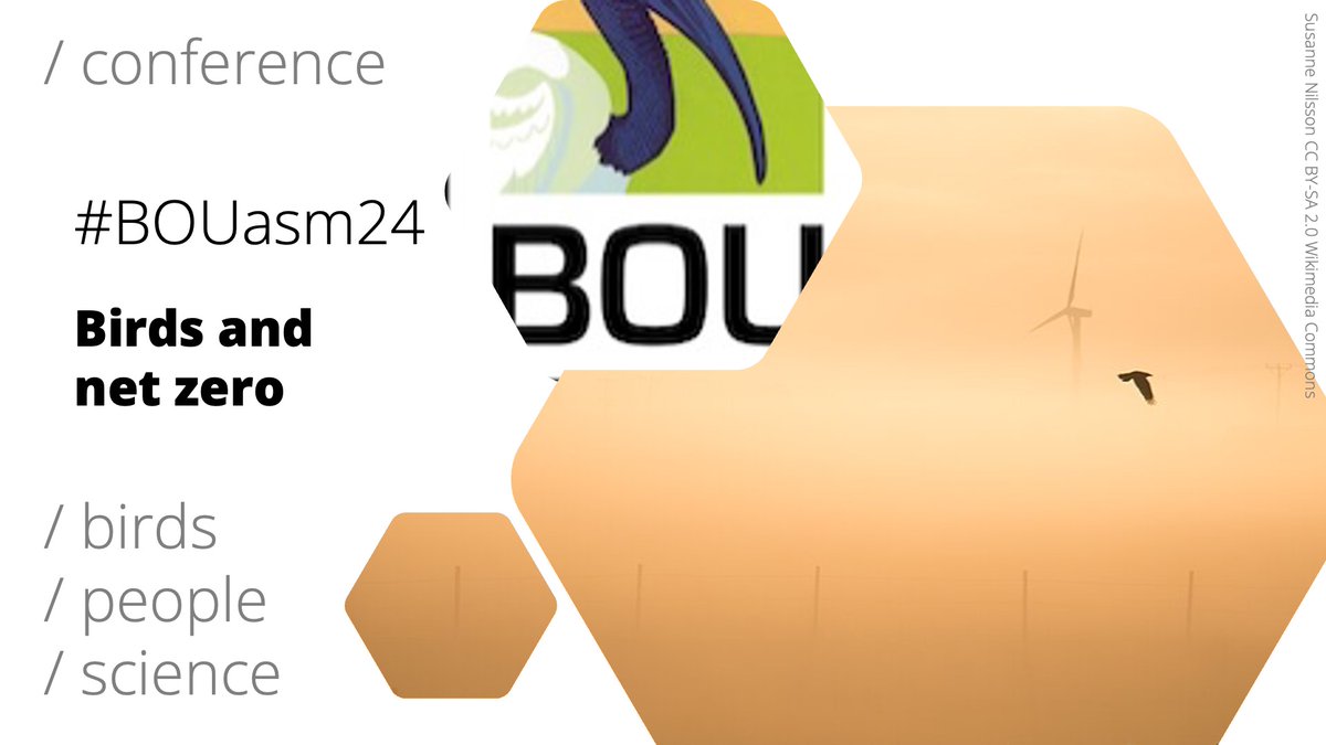 BOU 👩🏻🏫👨🏿🏫🧕🏽👳🏽♂️ 🌈 (@ibis_journal) on Twitter photo ‼️ Call for abstracts open 
#BOUasm24 Birds and net zero
24 Oct 2024 | York, UK & Zoom & X (Twitter)
bou.org.uk/event/birds-an…
Deadline: 30 June 2024 (0900 BST)
#ornithology ‼️ Call for abstracts open 
#BOUasm24 Birds and net zero
24 Oct 2024 | York, UK & Zoom & X (Twitter)
bou.org.uk/event/birds-an…
Deadline: 30 June 2024 (0900 BST)
#ornithology