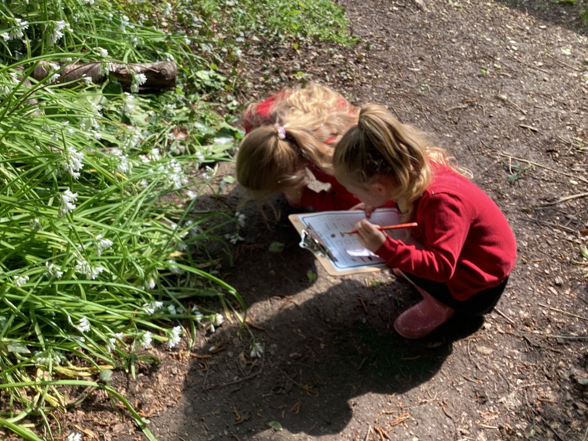 Amazing collaboration in the forest this week while we looked for mini beasts 🐌🦋🐛🐞🪱 Gwaith gwych! #CGIWB #healthyconfidentindividuals