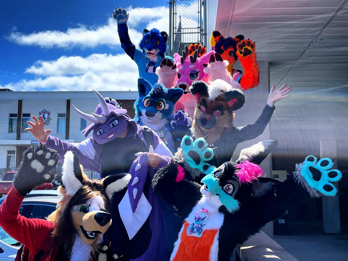 Suiting with some of the local crew last weekend! 🐱🐶🐉 #FursuitFriday

📸: <a href="/ZyneHusky/">ZyneHusky.dog 🐶</a>