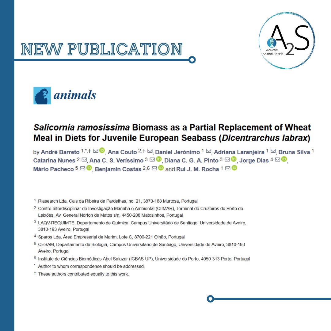 📰Have you had a chance to read this work by our team on partially replacing wheat meal with halophyte biomass? 🐟 If not, check it out! We think you will find it interesting💡 mdpi.com/2076-2615/14/4… #FishNutrition #Aquaculture #SustainableAquaculture #DietarySupplementation