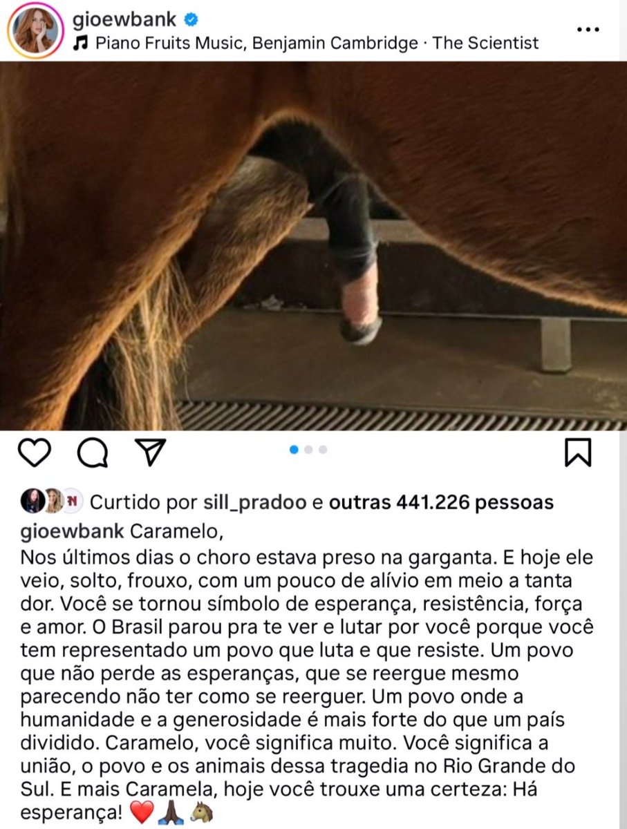 Um pênis de cavalo se tornou símbolo de resistência na enchente. Essa é prova que vivemos em uma sociedade patriarcal dominada pelo machismo estrutural. Triste.