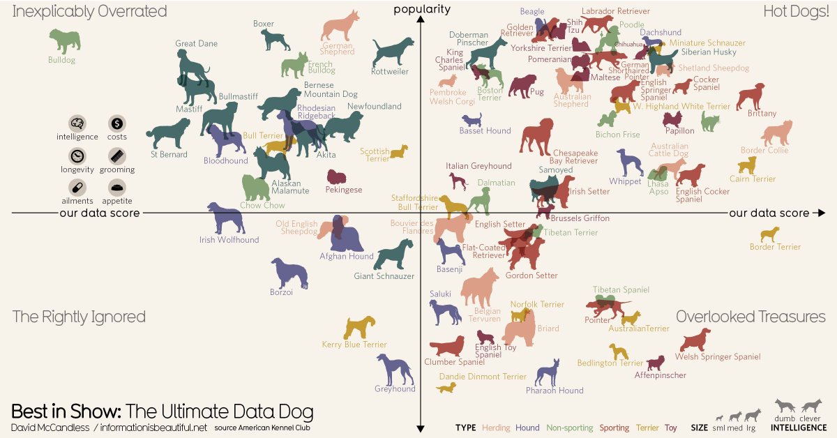 What's the best #dog breed, according to the data? The #dataviz dog-lovers have been waiting for: informationisbeautiful.net/visualizations…