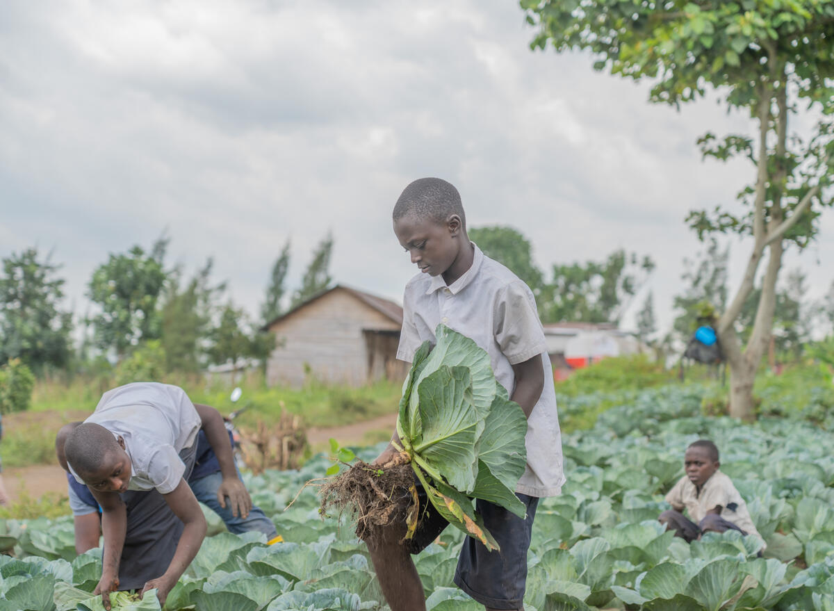 🌿🏫 Not your average classroom!

 👇 Students in #DRC🇨🇩  are growing cabbage & local veggies for their #SchoolMeals in their school garden which also help:

🤝 Foster a sense of community
🌱 Teach children how to grow food
 🥕 Promote healthy & nutritious eating habits!