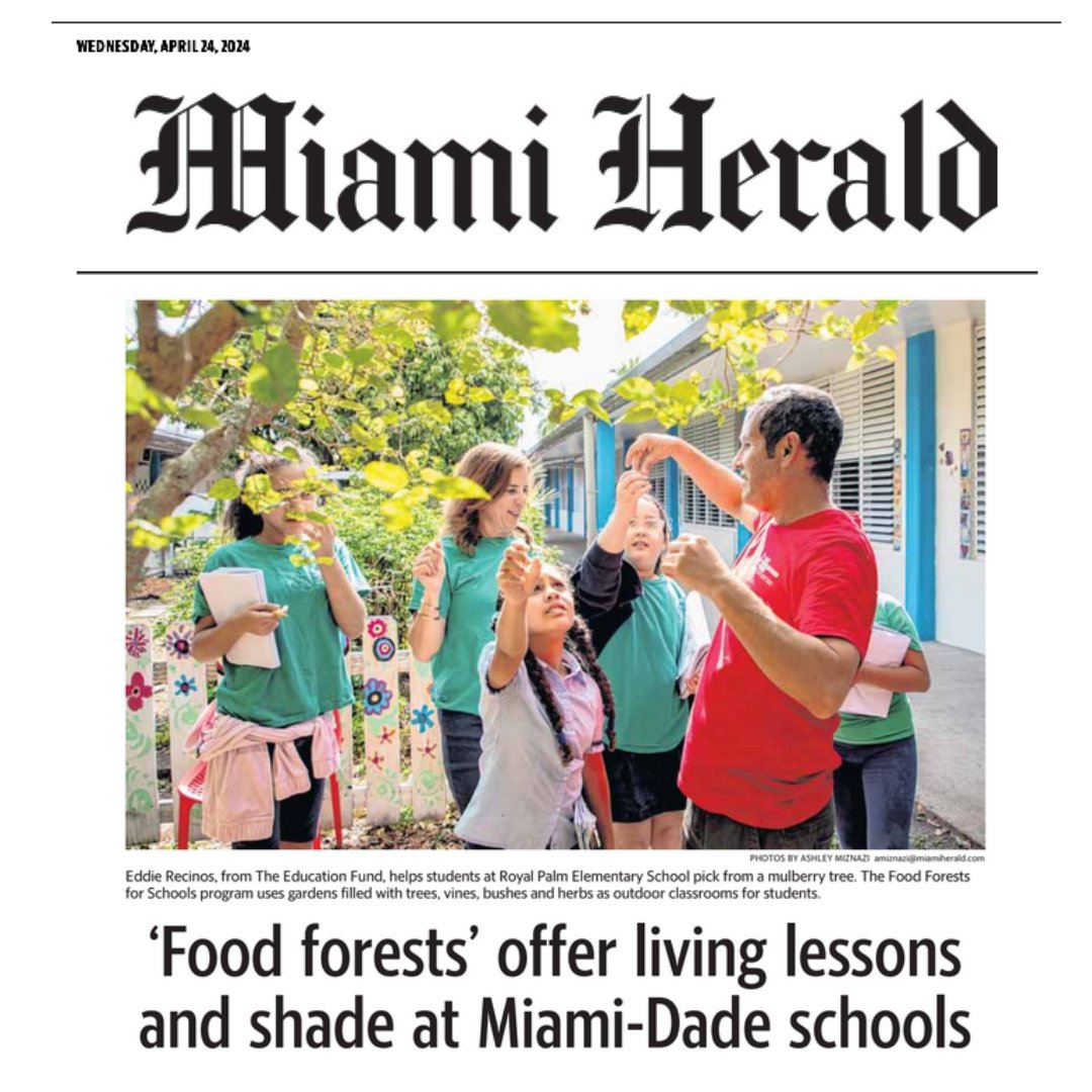 Front page news! The Miami Herald highlights The Education Fund Food Forests for Schools program, serving more than 28,000 students in Miami-Dade County Public Schools. 🥕miamiherald.com/news/local/env…