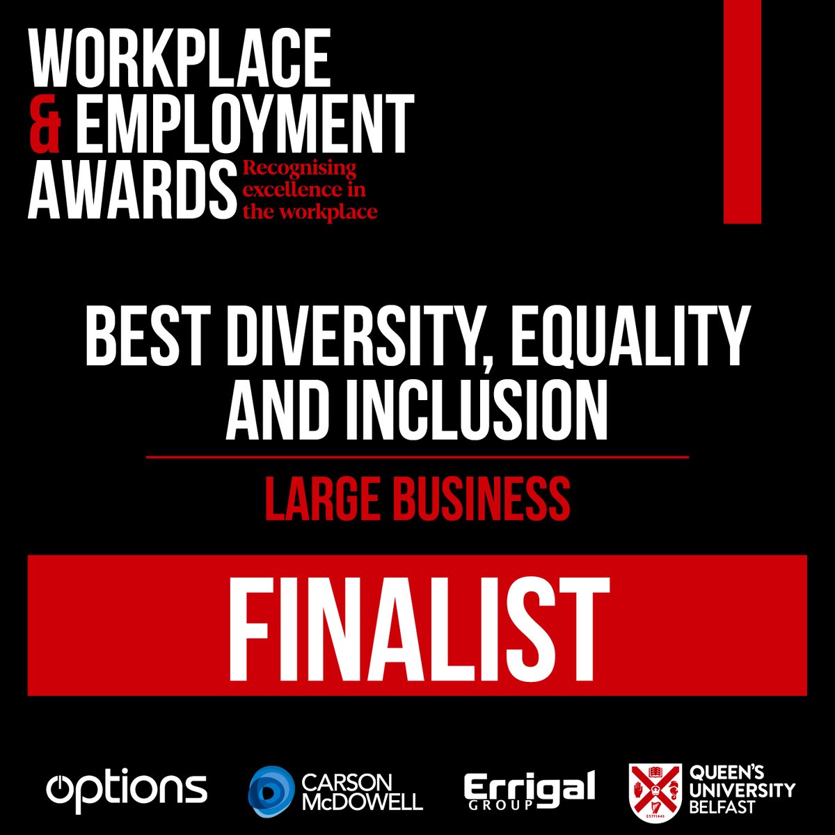 We are delighted to announce we have been shortlisted for the Team of the Year – Large Business and Best Diversity, Equality and Inclusion Awards at the @irish_news Workplace & Employment Awards 2024! #WEA24