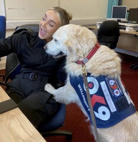 As it’s coming up to #MentalHealthAwarenessWeek Did you know our @OscarKiloUK OK9 Wellbeing and Trauma Support Dogs can help with: 🐾 MH Awareness ✅ 🐾 Training involving trauma ✅ 🐾 Post incident support 🐾 Team visits ✅ 🐾 Family Days/ events✅ Contact your local team!!🐶