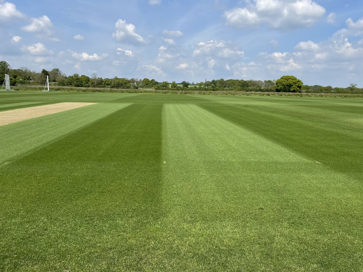 carl reevess tweet media