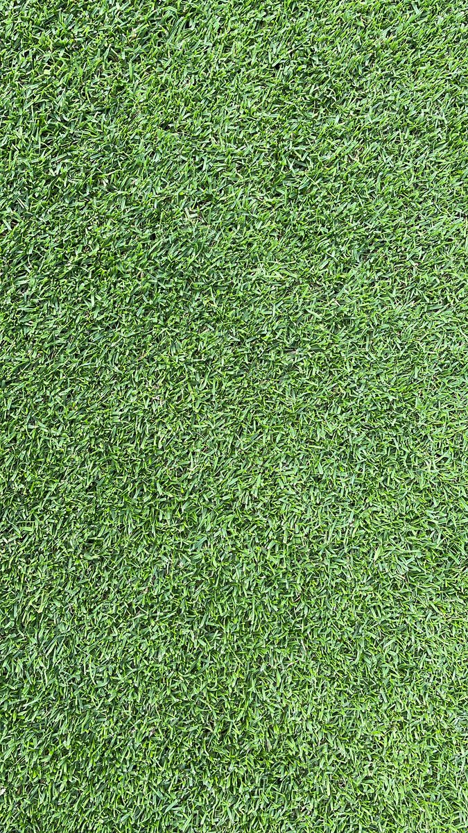 carl reevess tweet media