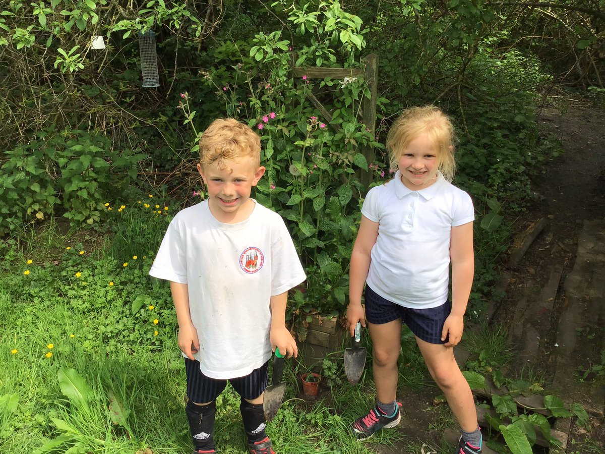 LostockGralamPr's tweet photo. Robins have potted their plants and selected the perfect location for their investigation to see what plants need to grow. #LGCEScience https://t.co/oSDGCsTtsb