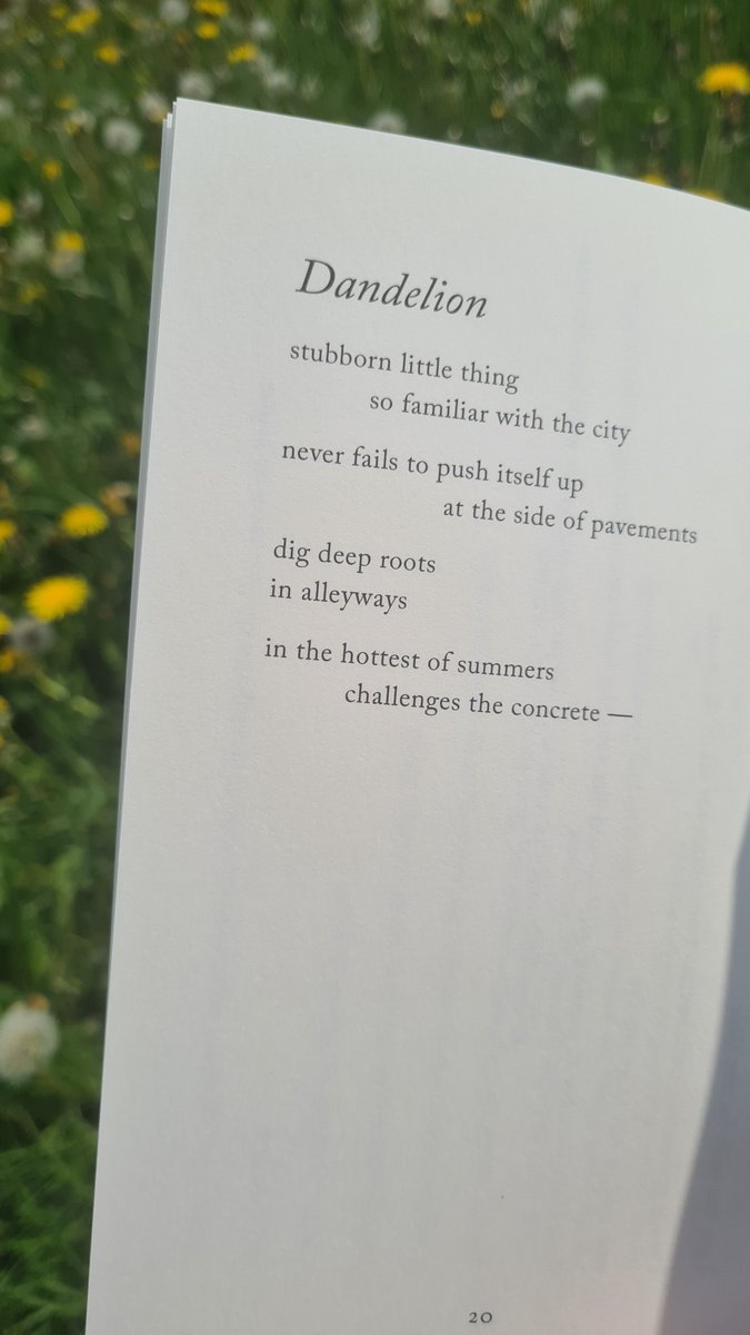 That sweet moment when life and poetry collide. We're loving on 'Makeover' collection by @LaurieBolger which can be read anywhere, anytime, enjoyed here with a side of sunshine and stillness. Order your copy from: buff.ly/3NcGLSr