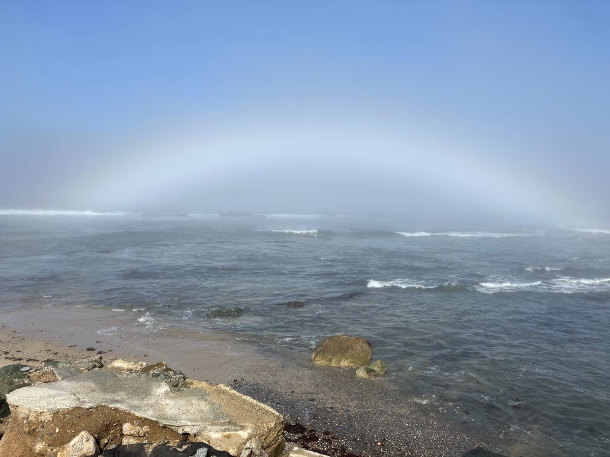 This fogbow was taken at Fitzgerald Marine Reserve by Park Aide Christy. Also called a white rainbow, fogbows are produced when sunlight interacts with water droplets contained in fog. #SMCParks #NationalPhotoMonth #PhotoFriday