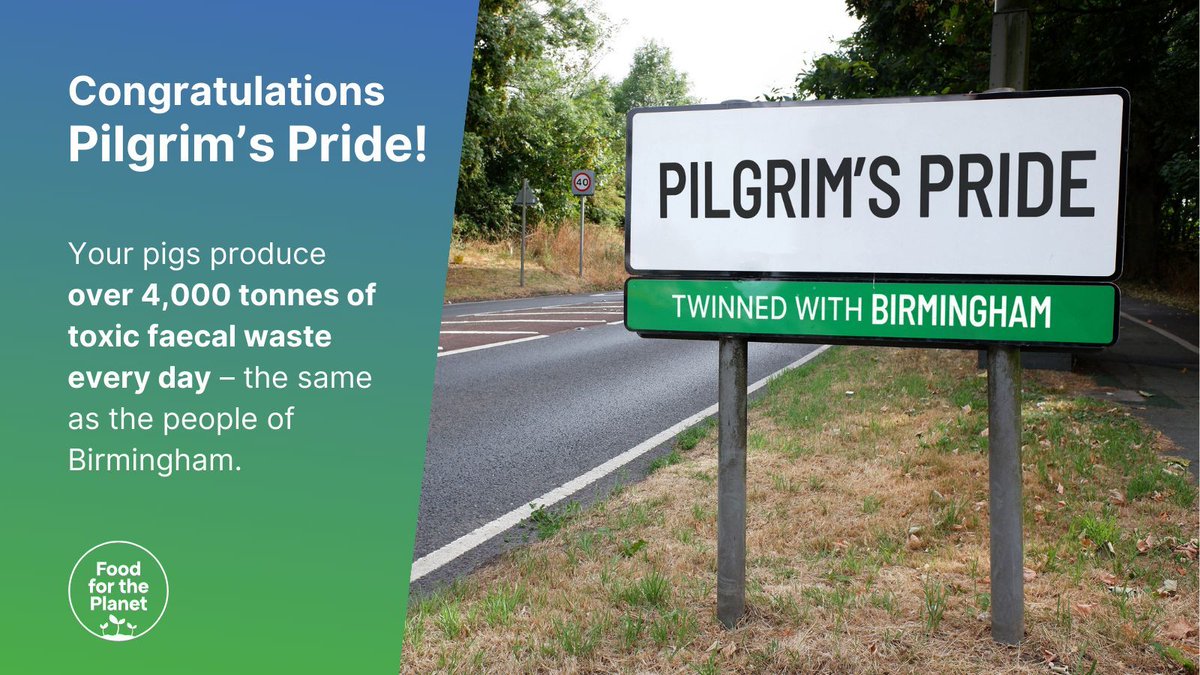 New analysis from @UKsustain and @friends_earth estimates the shocking scale of waste in the supply chain of @pilgrimsuk. #rescuebritainsrivers #stopkillingourrivers #riverwye #ukrivers Find more here ➡️ buff.ly/4bklXll