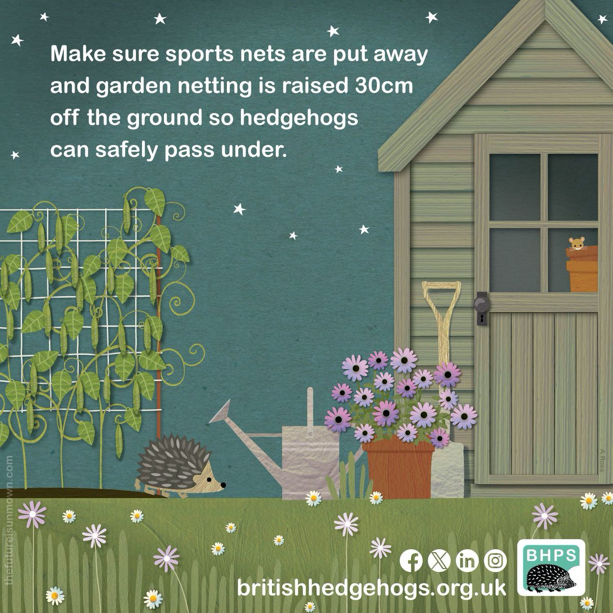 Did you know that #hedgehogs can get caught in sports nets & garden netting? #WelcomeWildlife with this handy tip designed & donated by @TFIUnmown! 🦔 🥅 🪴 Please #ShareToMakeAware during #HedgehogWeek