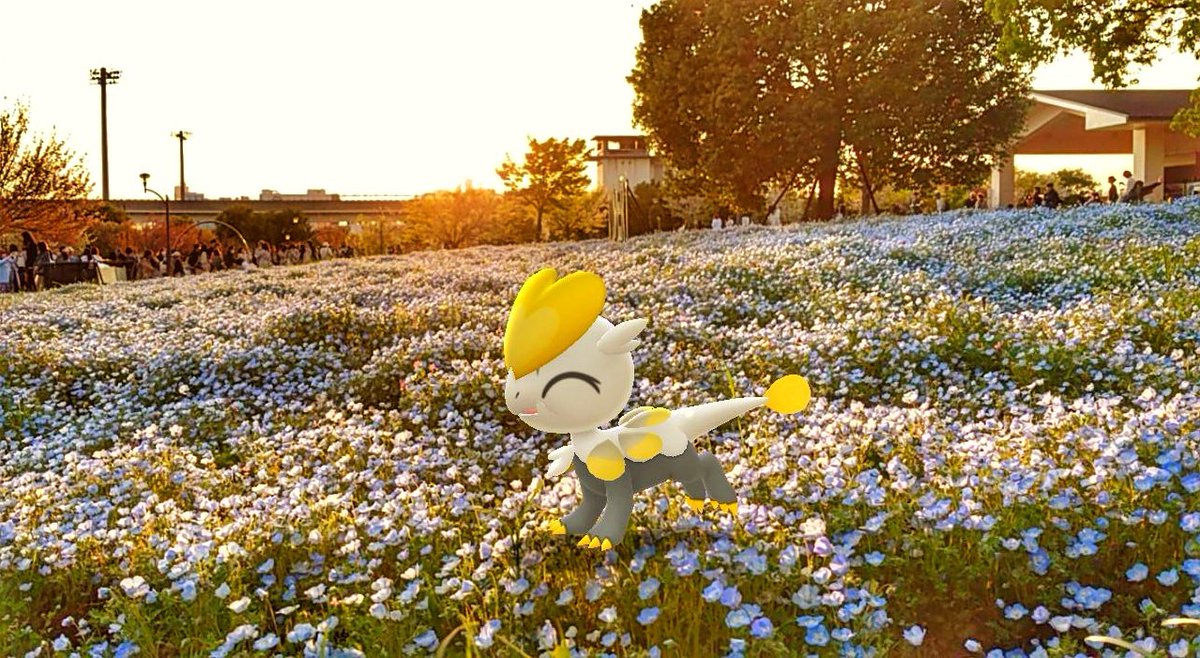 サンセットブルー #CuteAR大会2024 #舎人公園 #GOsnapshot #NianticAR #ARoftheDay #ジャラコ #PokemonGO x.com/uuuuuone1/stat…
