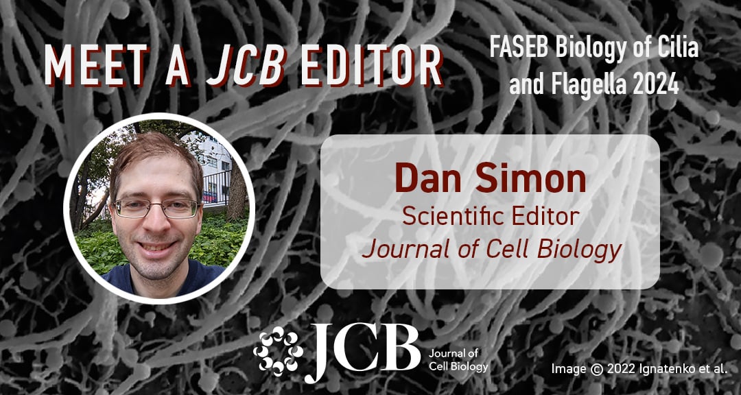 Attending the FASEB @FASEBorg Biology of Cilia and Flagella 2024 #BCFSRC in St. Paul? If you're interested in submitting your research to JCB, get in touch with our Scientific Editor Dan Simon who is attending! Contact Dan via email ➡️ hubs.la/Q02wNMzz0