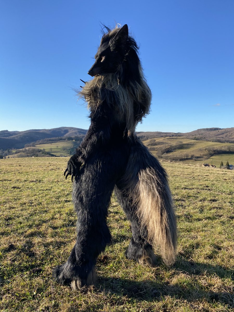shaqualhound's tweet image. Going to head over to the US for a bit, to collect some souls~

📸Ukinart
#hellhound #clockworkcreature #fursuit #FursuitFriday #realisticfursuit #FWA2024