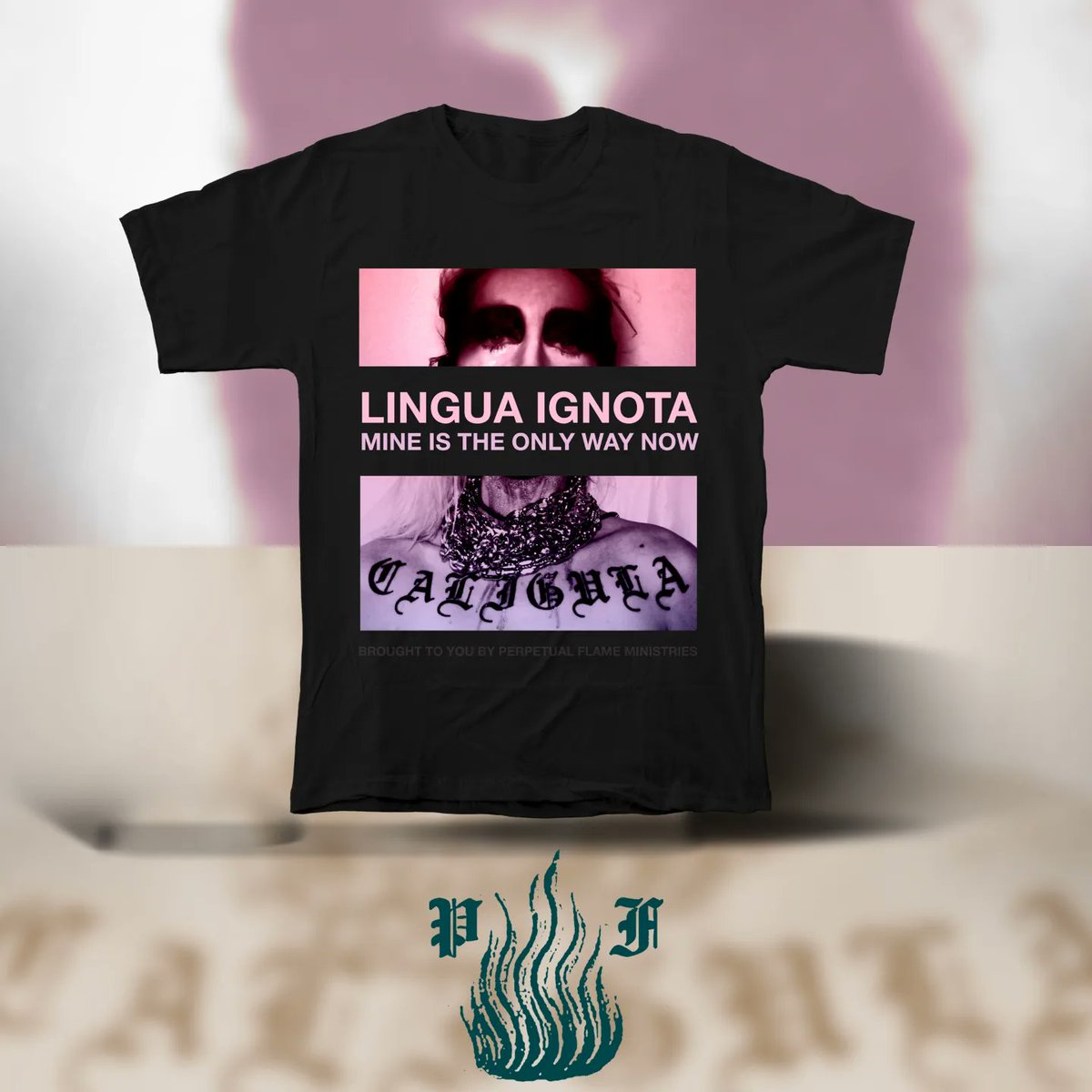 PFM has repressed CALIGULA &amp; ALL BITCHES DIE, available now for preorder! Kristin now owns her entire back catalogue, a wonderful thing indeed. 

Perpetualflamestore.com
Evilgreed.net
And at a record store near you in a month or so.