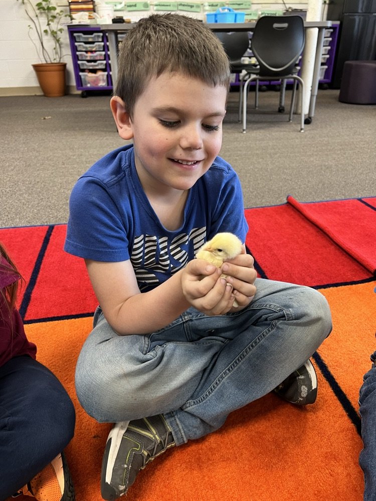 Who couldn't help smiling holding these little guys? The Gibson science lab was all smiles this week!