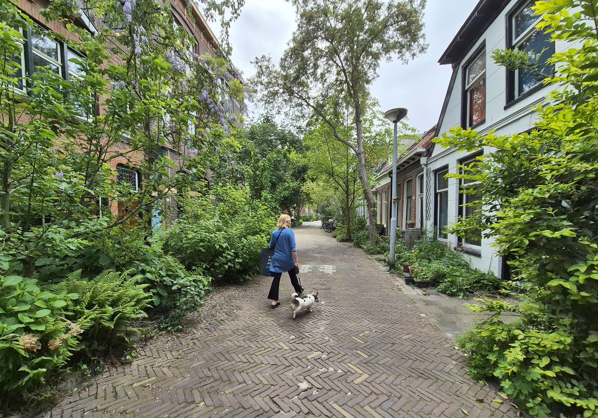 Naturalizar las calles para el contacto social, el juego y el descanso. 📷 @NandaSluijsmans