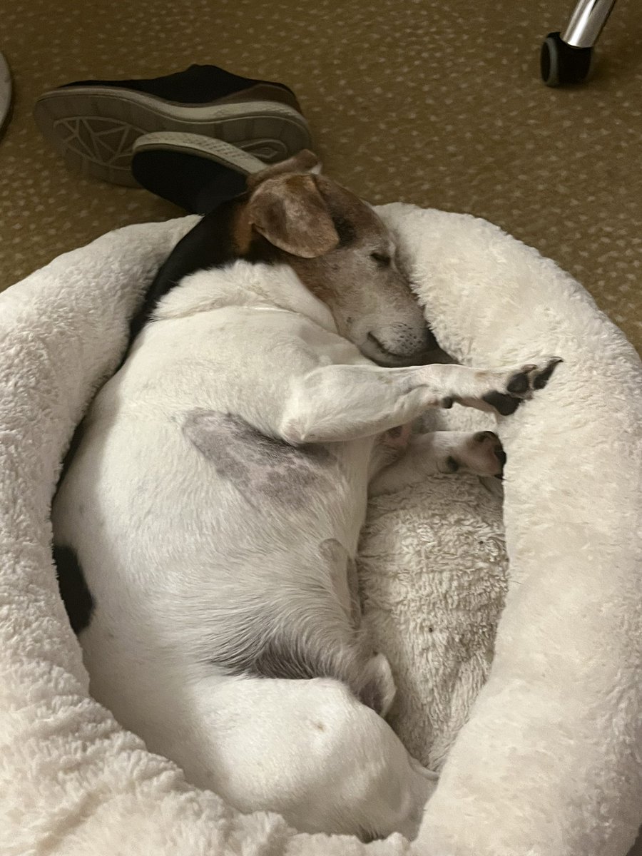 (((Jan Kastner))) tweet media