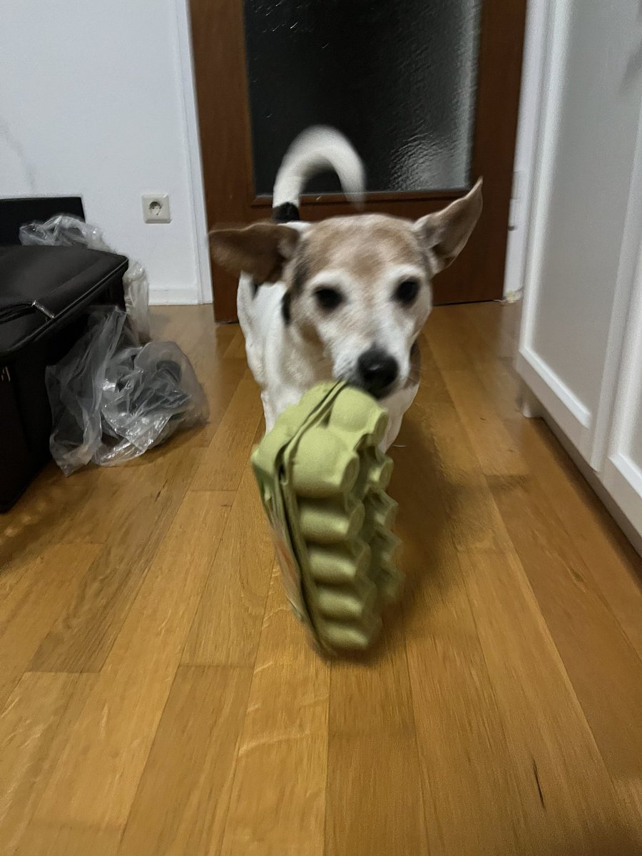 (((Jan Kastner))) tweet media