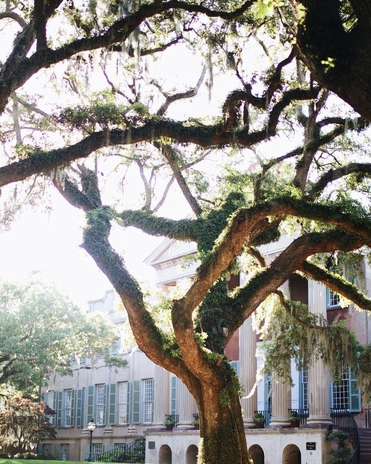 Our heartfelt congratulations to all the @collegeofcharleston students crossing Cistern this weekend. We're rooting for you! Stay safe this weekend!

#chs #collegeofcharleston #cougs #cougars #mlg #chsattorney #mcleodlawgroup #collegegraduation #graduation