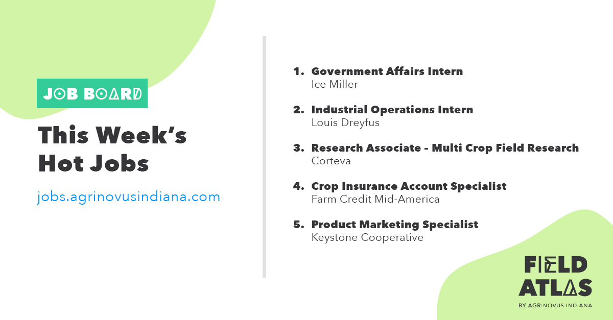 Did you know there are over 97,000 high-wage #agbioscience jobs in Indiana? Explore open career roles on our job board starting with this week's top five. jobs.agrinovusindiana.com
