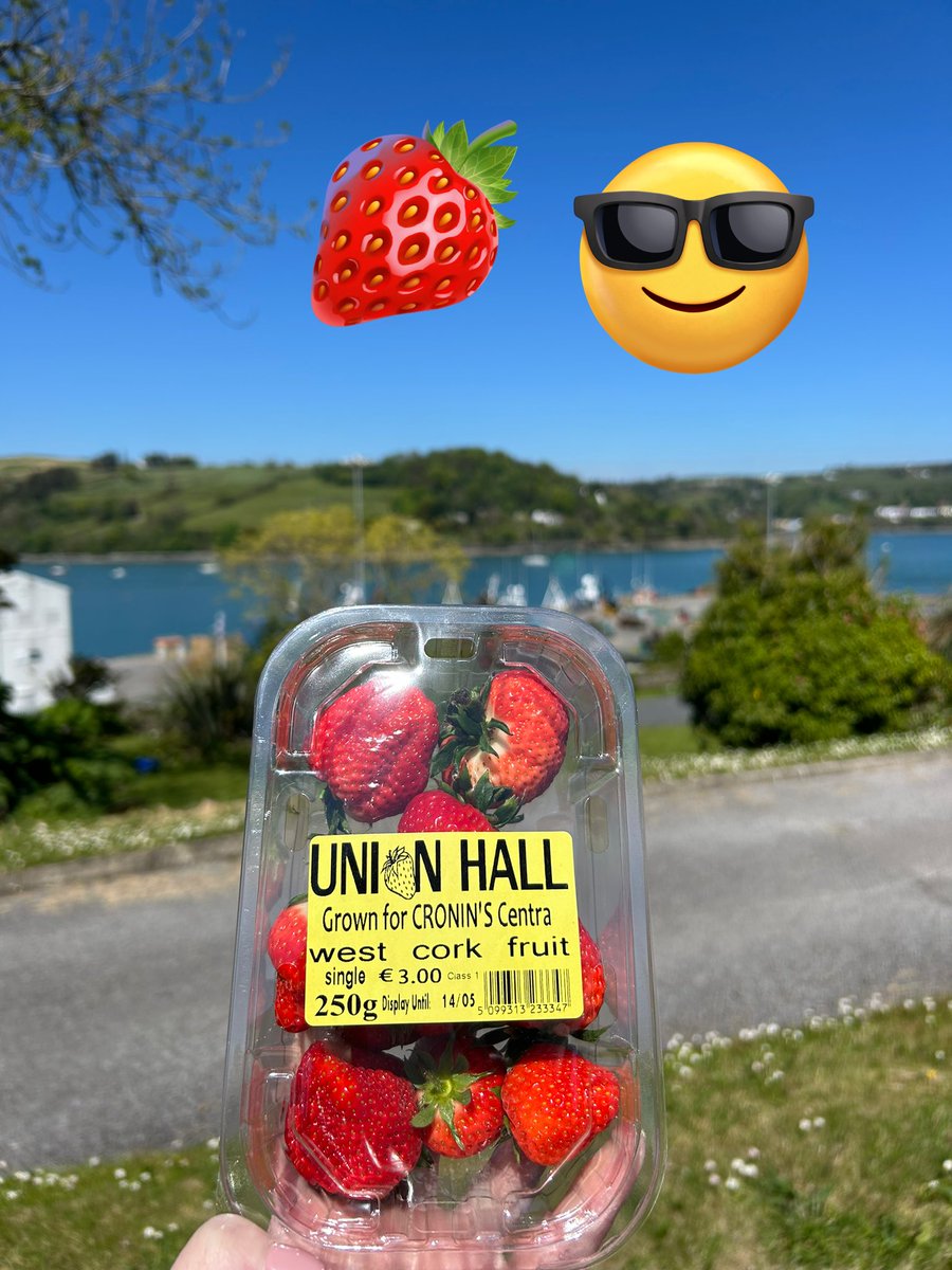 Does anything else signal summer like local grown strawberries 😎🍓#UnionHall #WestCork #Cork #strawberries #local #tasteofsummer