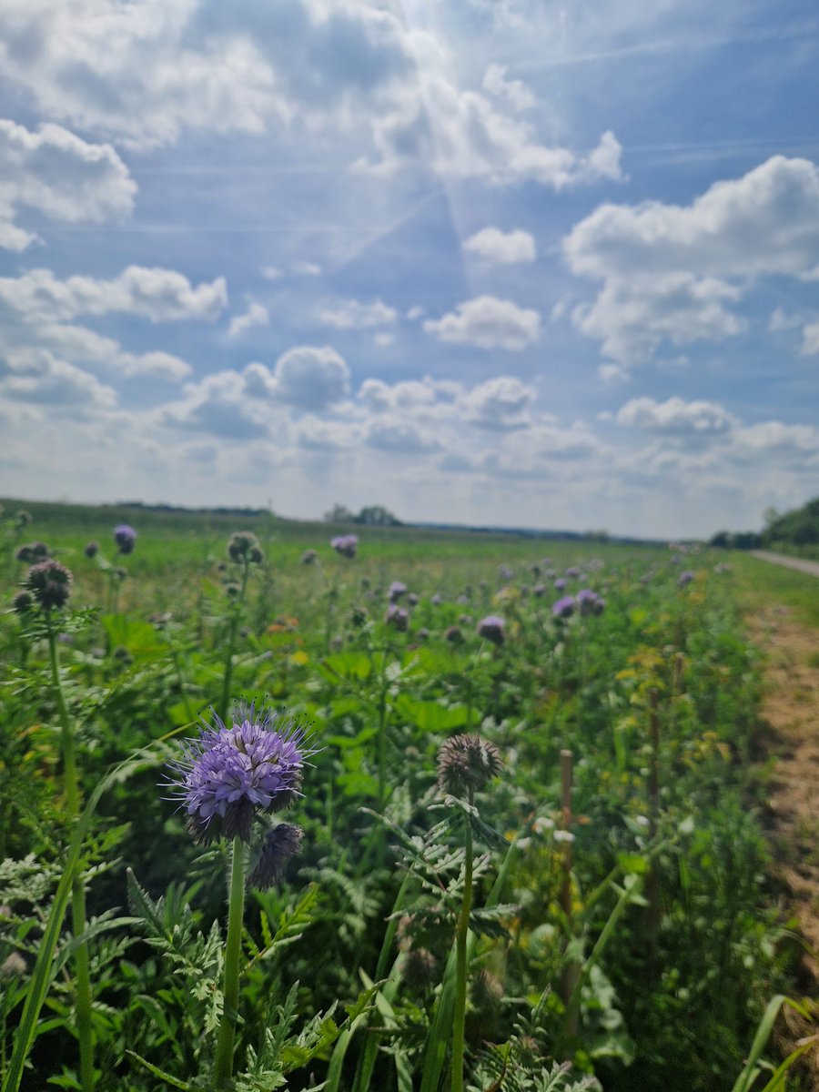 Ben Martin tweet media