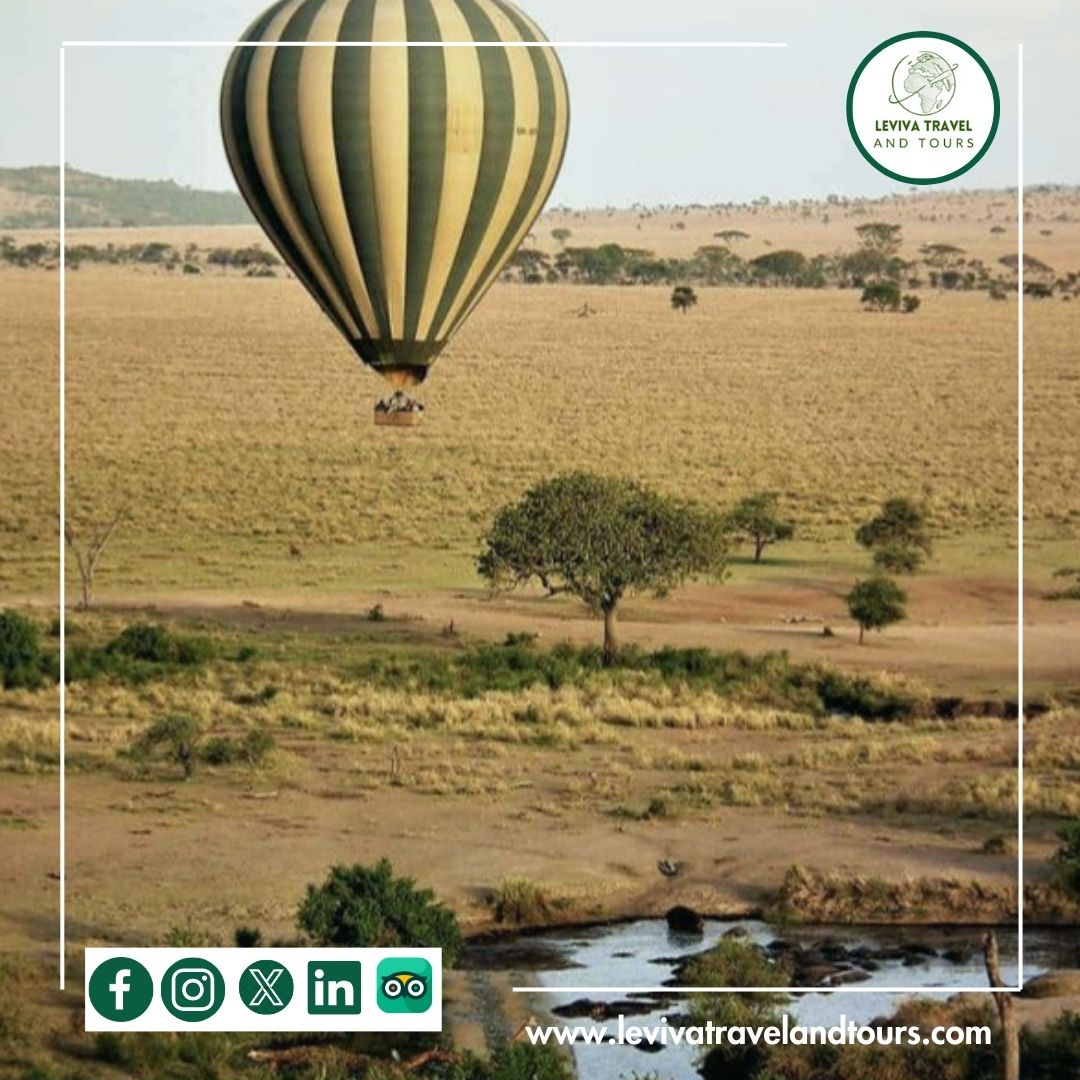 Experience the magic of Africa from a whole new perspective!

Embark on an unforgettable hot air balloon safari with Leviva Travel and Tours, and soar above the breathtaking landscapes of Tanzania. 

🌐levivatravelandtours.com